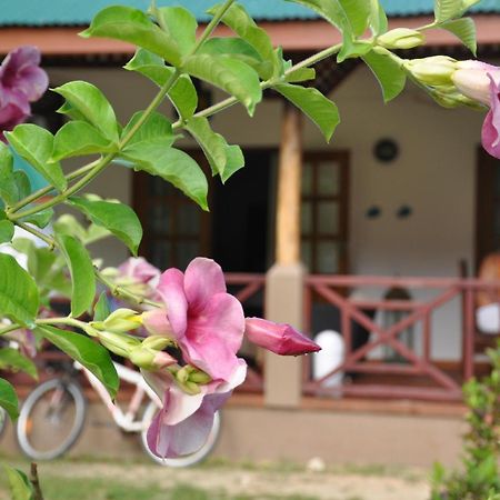 Paodise Guesthouse La Digue Zewnętrze zdjęcie